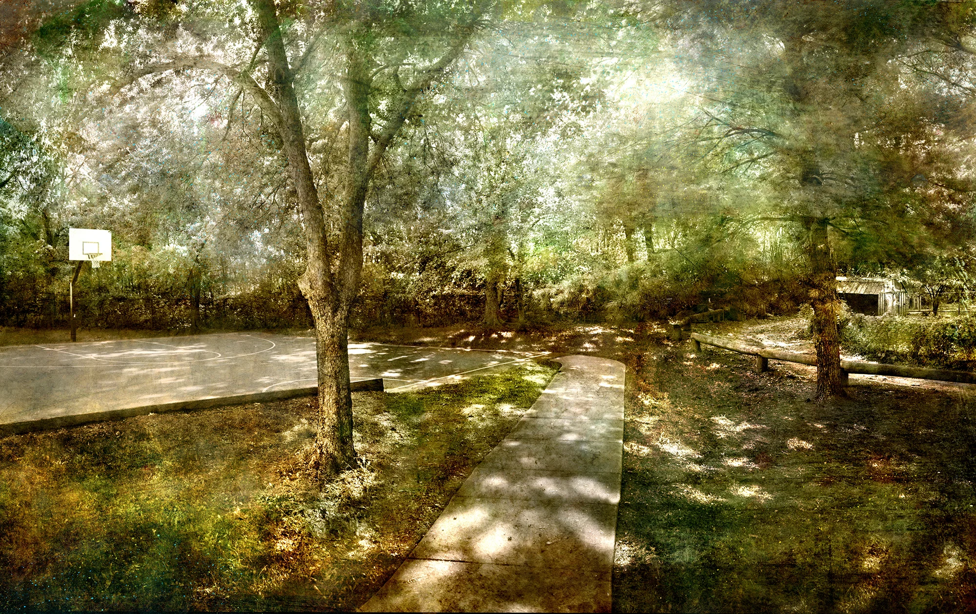 David Douglas - Mixed Media Artist | Iris Gallery | Contemporary